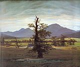 Landscape with Solitary Tree by Caspar David Friedrich